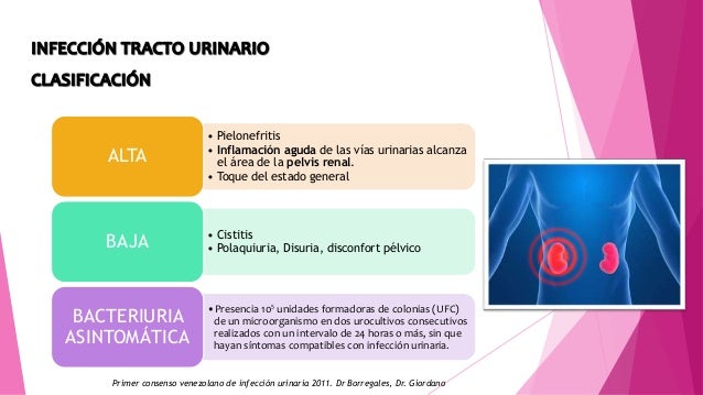 RIESGO Tumor renal